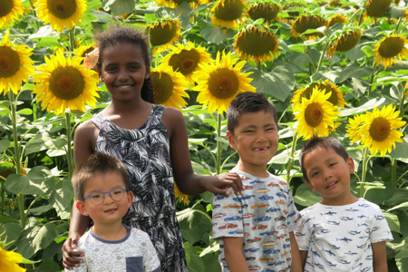 Intercounty adoption